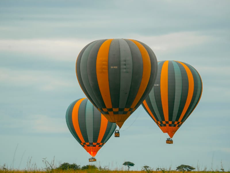 Hot-air balloon safari