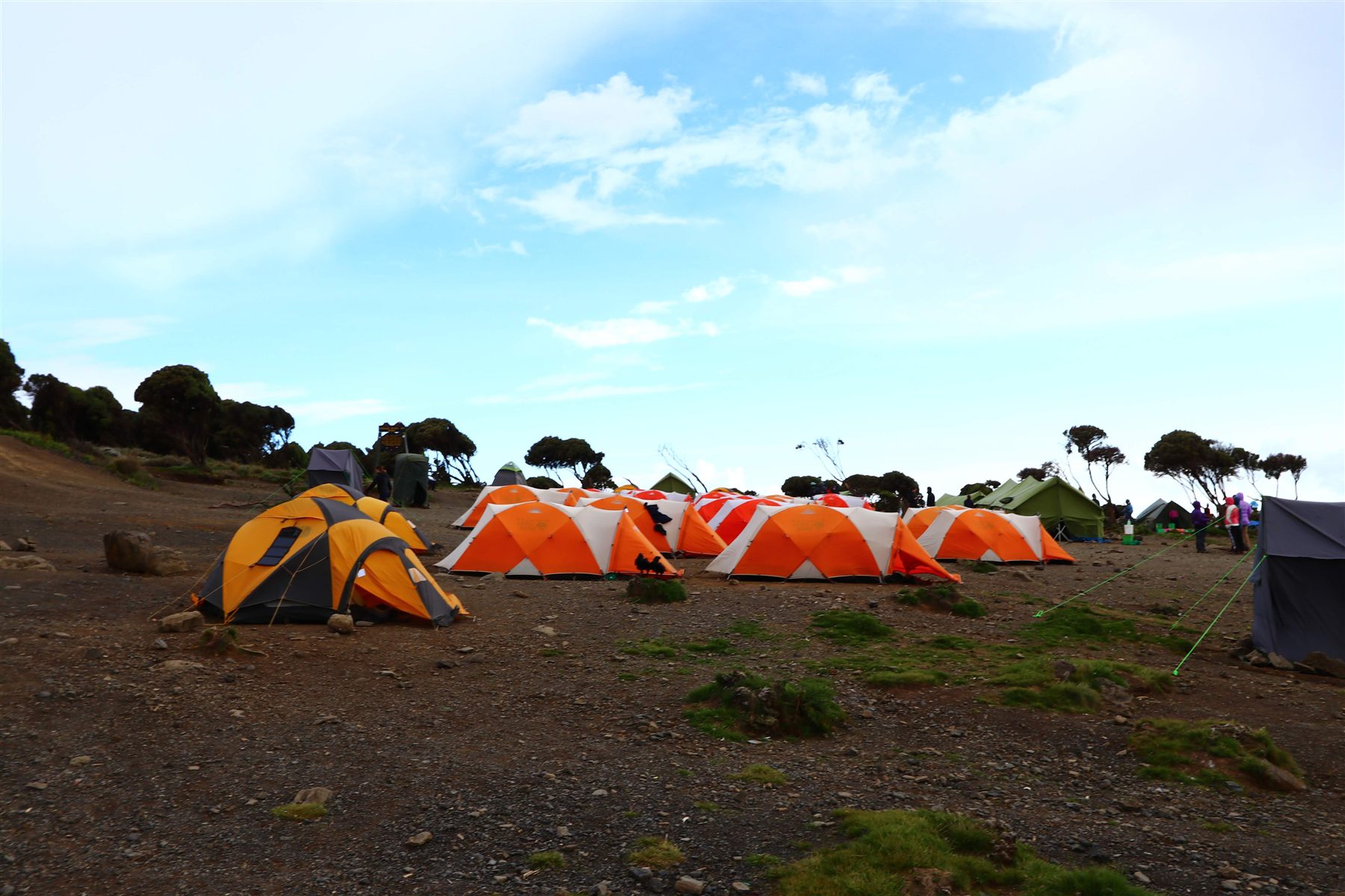 Tanzania Safari Accommodation Levels