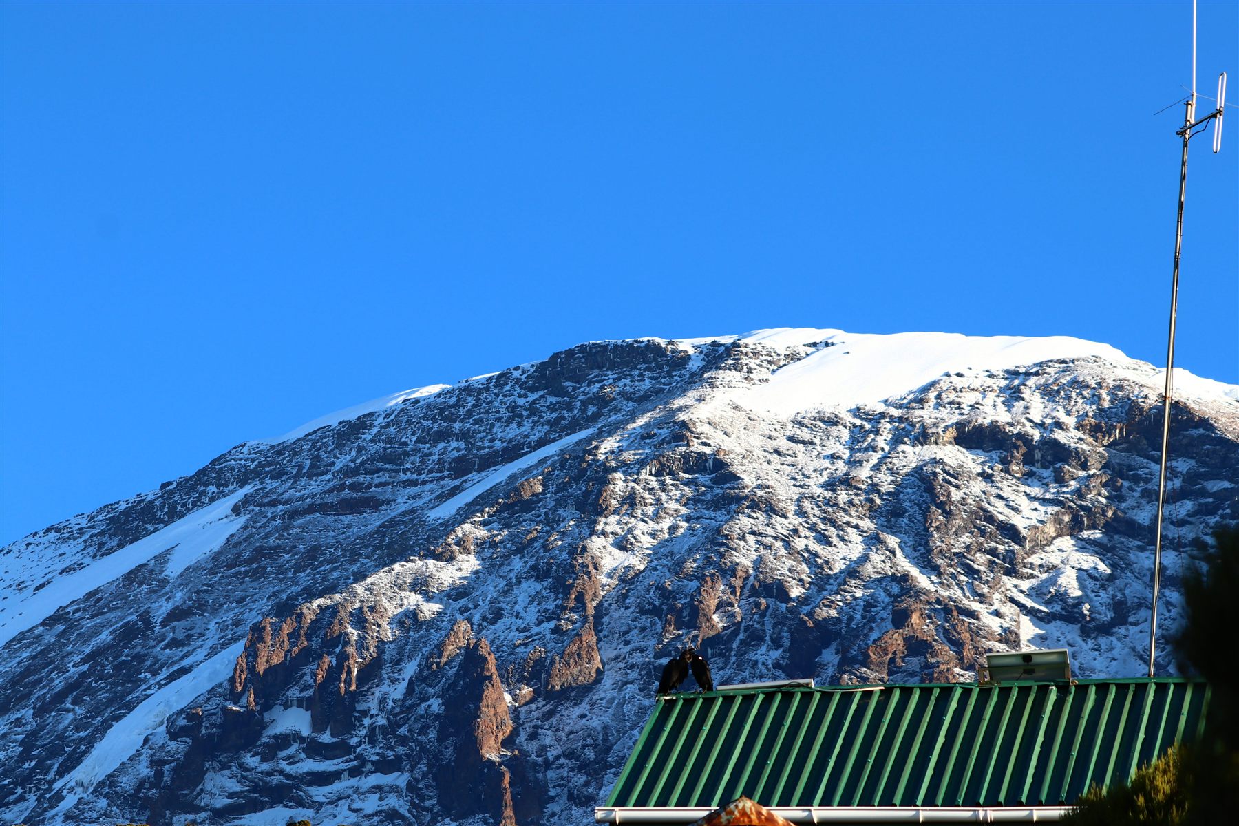 Kilimanjaro Marangu Route