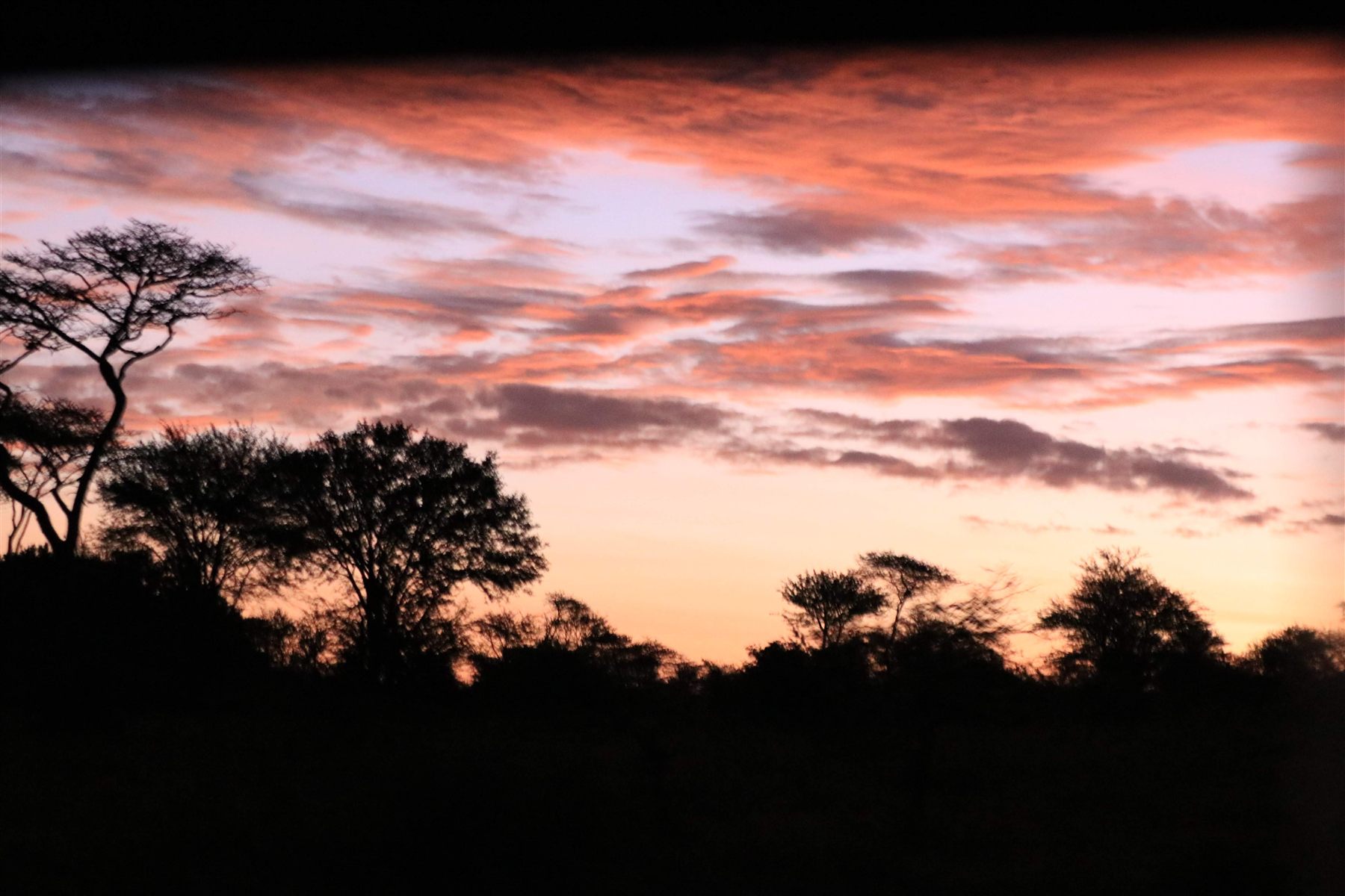 9 Day Honeymoon Safari and Zanzibar