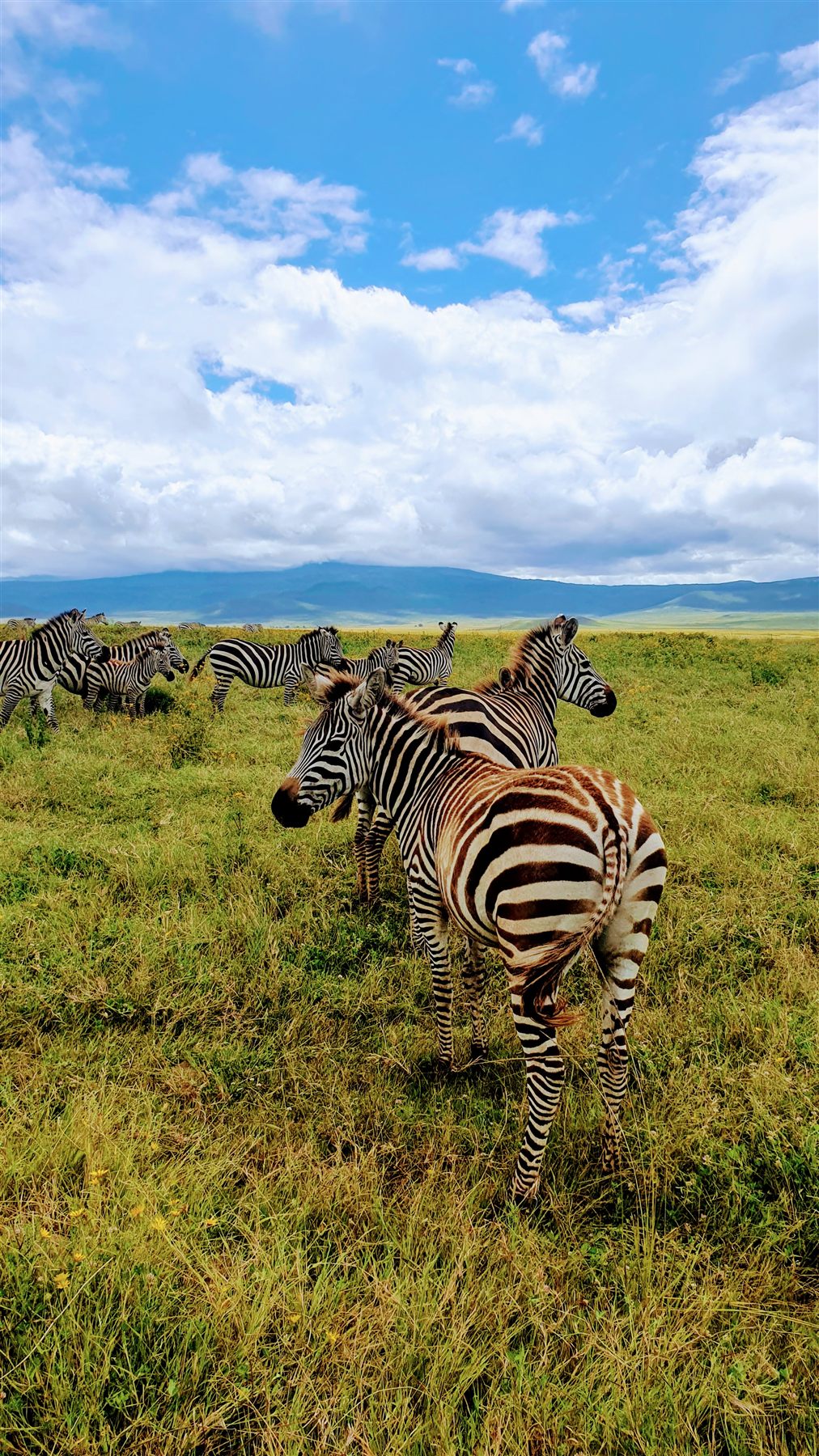 Serengeti National Park